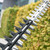 HTX7500 75cm Professional Hedgetrimmer HTX7500 75cm Professional Hedgetrimmer