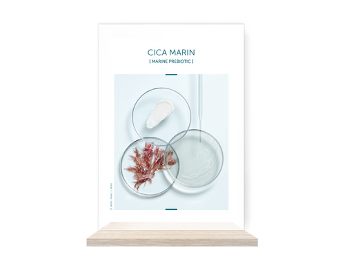 TH Generic Display Small - 14.8 x 10.5cm