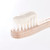 Gentle Toothpaste - Apple & Mint - 12Case - 60g