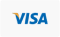 Visa Accepted Badge