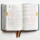 The Great Adventure Catholic Bible, Second Edition (Leatherlike) - Ascension Press