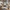 Graceful Spaces: How to Create a Home That Reflects Your Wisdom and Style Graceful Spaces: How to Create a Home That Reflects Your Wisdom and Style