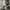 Ageless Beauty: Home Decor That Grows with You Ageless Beauty: Home Decor That Grows with You