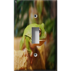 Fat Frog Decorative Light Switch Plate Cover