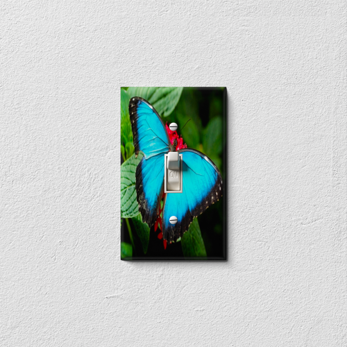 Blue Butterfly Decorative Light Switch Plate Cover