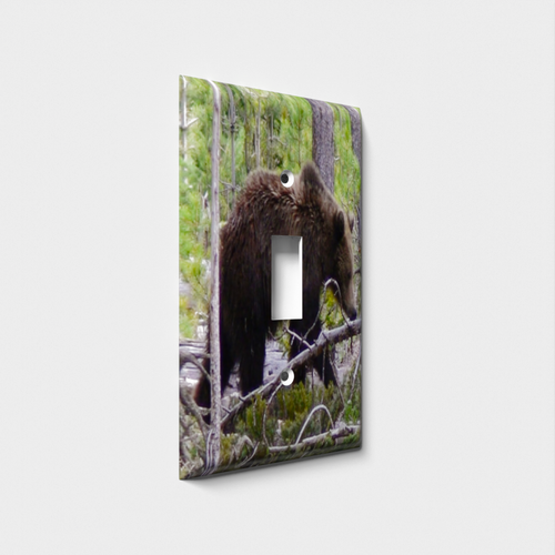 Roaming Bear Decorative Light Switch Plate Cover