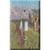 Cowboys Decorative Light Switch Plate Cover Cowboys Decorative Light Switch Plate Cover