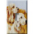 Dogs On Prairie Decorative Light Switch Plate Cover Dogs On Prairie Decorative Light Switch Plate Cover