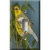 Yellow Bird Decorative Light Switch Plate Cover Yellow Bird Decorative Light Switch Plate Cover