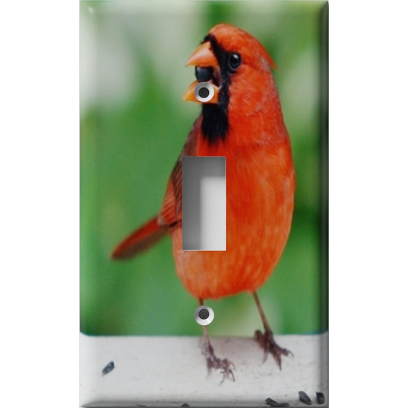 Vocal Cardinal Decorative Light Switch Plate Cover