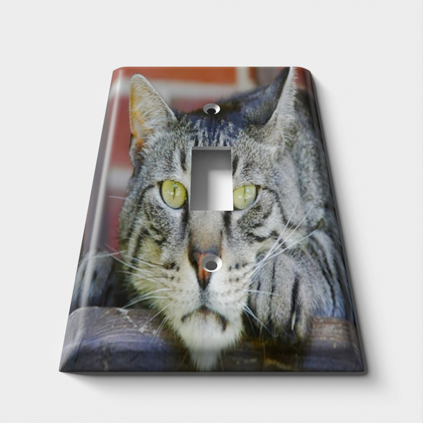 Tired Cat Decorative Light Switch Plate Cover