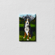 Dog In The Mountains Decorative Light Switch Plate Cover