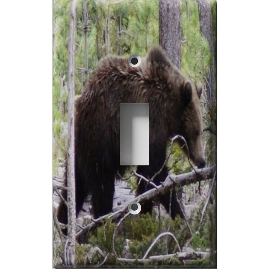 Roaming Bear Decorative Light Switch Plate Cover