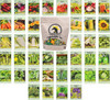 Set of 40 Packs of Assorted Heirloom Vegetable and Herb Seeds – Includes Freedom Farms Vegetable Set Bag - All 100% Non-GMO, Heirloom Seeds – Create a Diverse and Plentiful Garden!