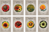 Set of 8 Flower Seed Packets - Seven Varieties and an Assortment Pack - Great for Creating a Sun Loving Garden