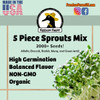 Bean Sprout Starter Seeds - Over 2000 Seeds! - Non-GMO - Sprouting Mix