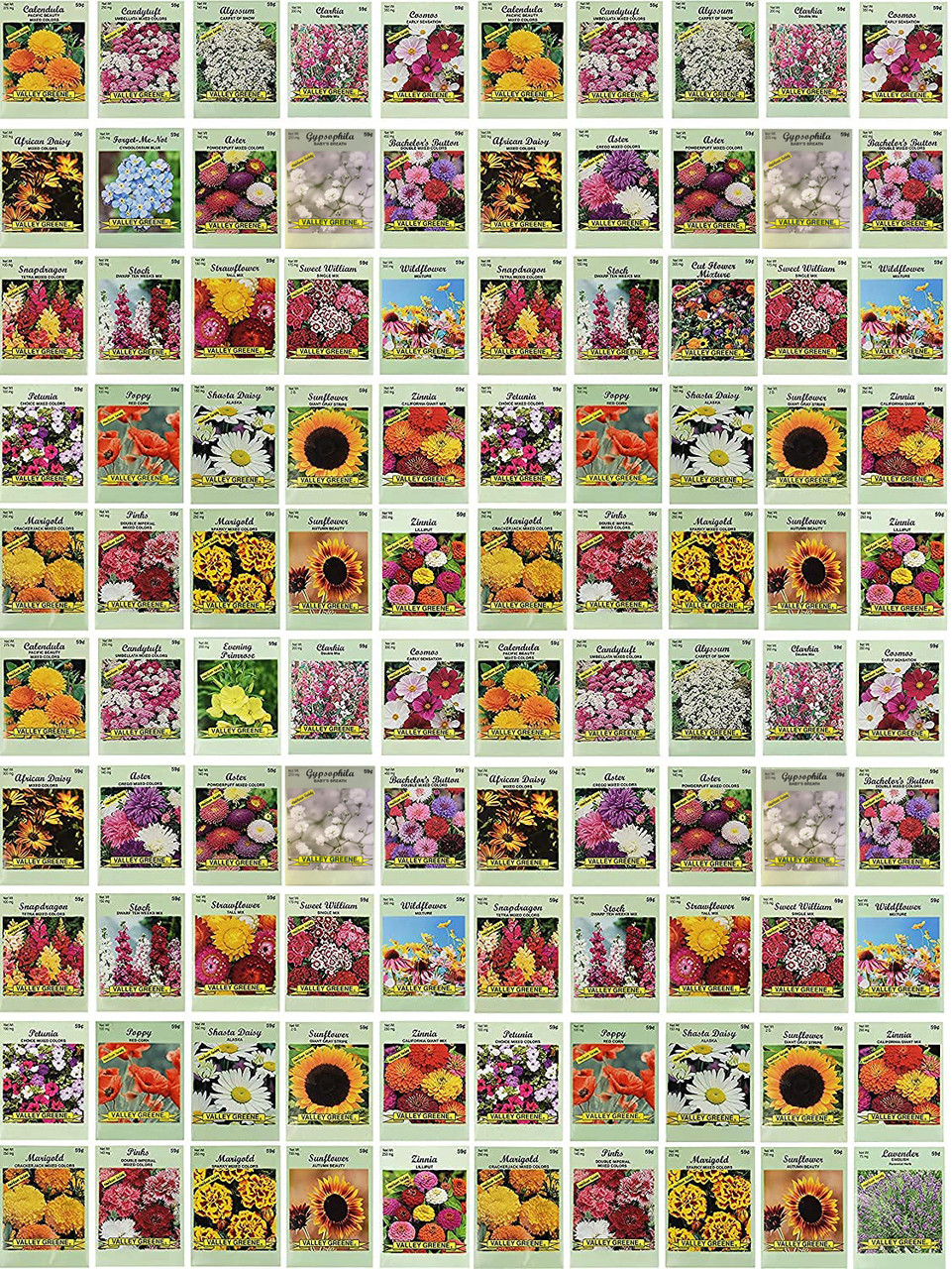 Varieties of Flower Seeds (Pack of 100) – aditiglobalhub