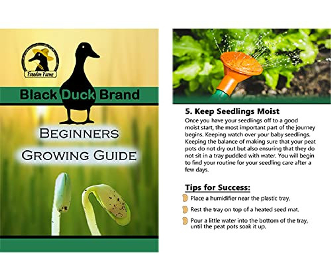 The 4 Best Seed Starter Kits