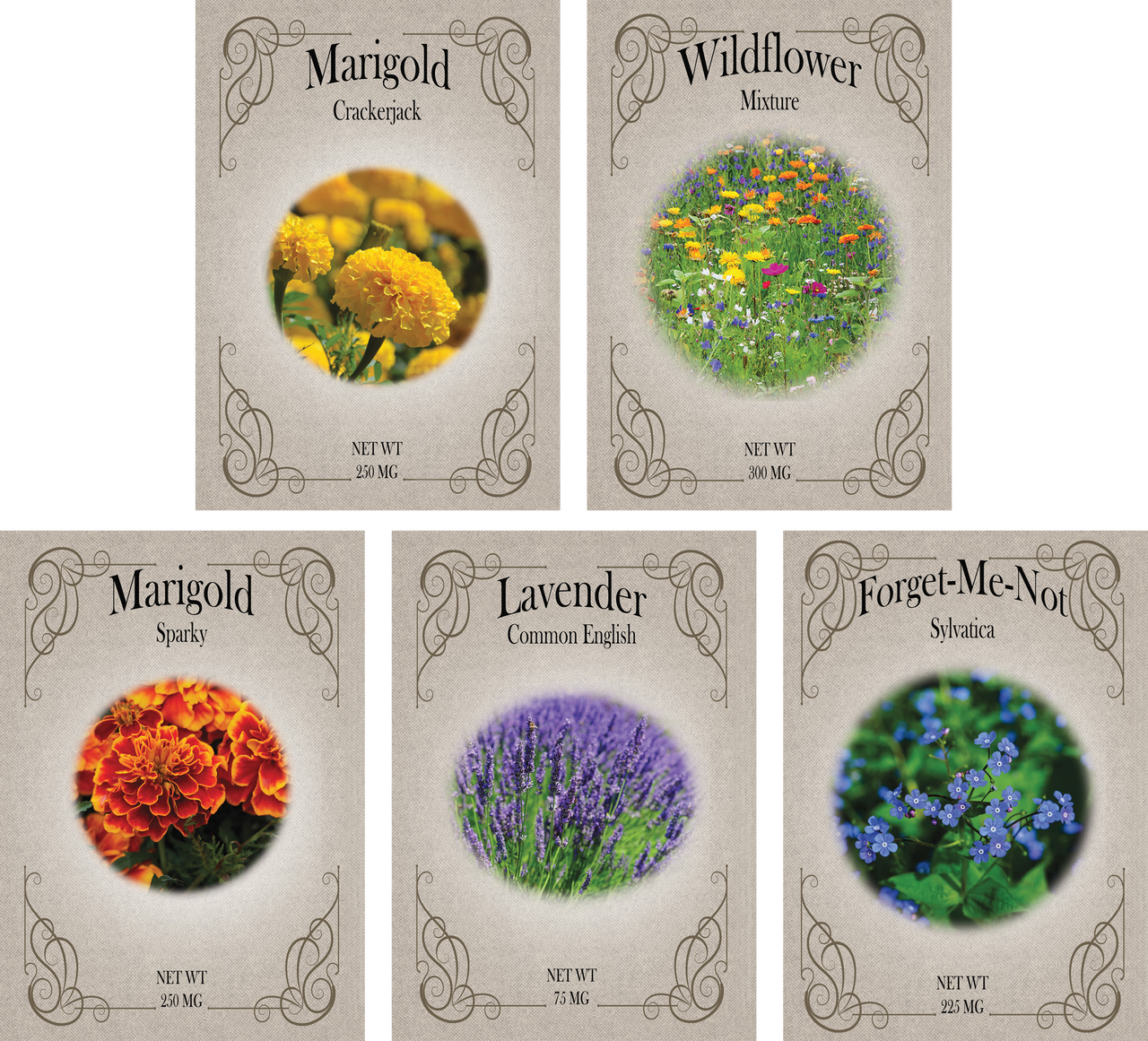 Set of 5 Flower Seed Packets - Great for Creating The Garden of Your  Dreams! - Heirloom, NON-GMO