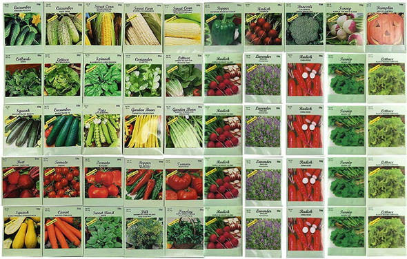 1000 Packs Assorted Heirloom Vegetable Seeds 30+ Varieties All Seeds are Heirloom, 100% Non-GMO Tens of Thousands Seeds