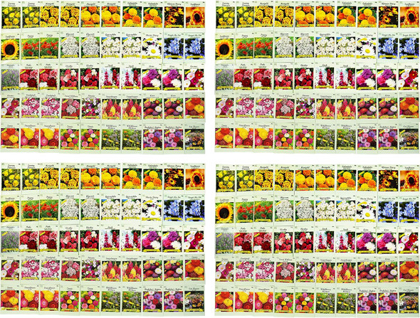Set of 200 Assorted Flower Seed Packets! Flower Seeds in Bulk - 20+ Varieties Available! - 2023 Stock