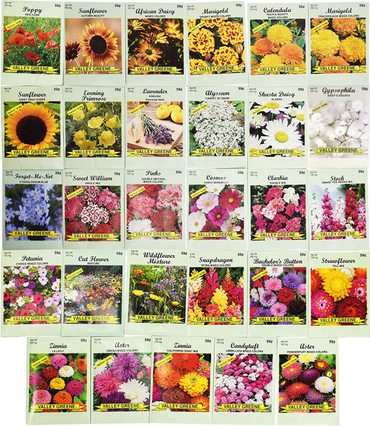 Set of 29 Black Duck Brand Flower Seed Packets - Individually Sealed Packets - Create your Dream Garden