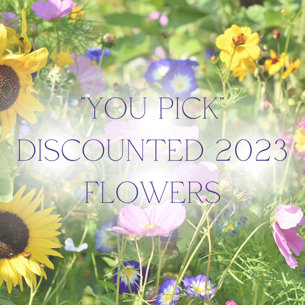 DISCOUNT U-PICK FLOWERS - 2023 Year Seeds
