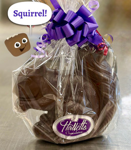 Squirrel - Solid Molded Chocolate