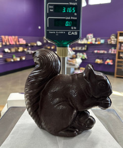 Squirrel - Solid Molded Chocolate