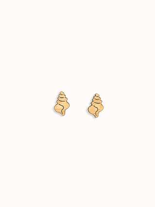 sea snail shell studs