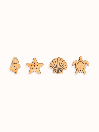 turtle and shell 4 pack earrings