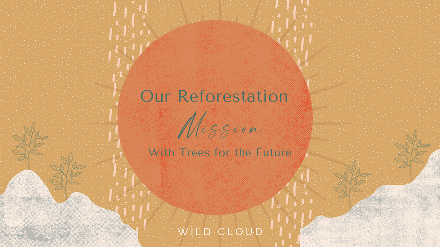 Our reforestation mission with Trees for the Future