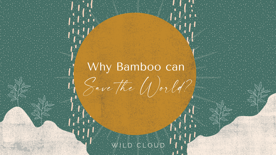 Why bamboo can save the planet?