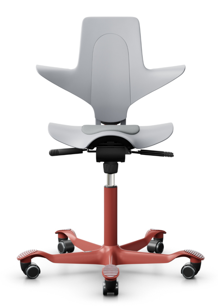 HAG Capisco Puls 8010: Saddle Chair with Back Support