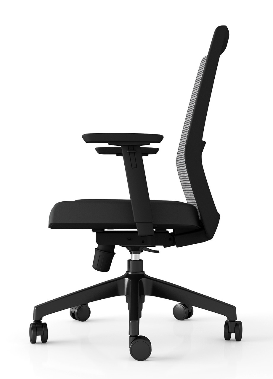 Friant Vektor Task Chair