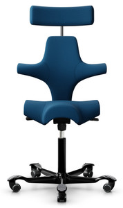 HAG Capisco 8107- Gr. L3 Leather Highlands, Black Frame, Front View