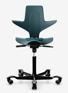 HAG Capisco Puls 8010: Saddle Chair with Back Support