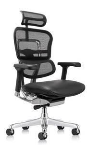Ergohuman High Back with Leather Seat & Mesh Back, 3/4 Front View Ergohuman High Back with Leather Seat & Mesh Back, 3/4 Front View