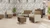 Lesro Ravenna Guest Chair