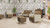 Lesro Ravenna Series can be highly customized