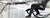 Varier Gravity Balans Chair Position #2 Varier Gravity Balans Chair Position #2