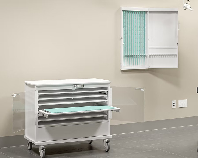 Raspberry Esophageal Dilator Cart, Horizontal Storage and Wall Unit