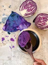 Natural Dye Wood Facts 