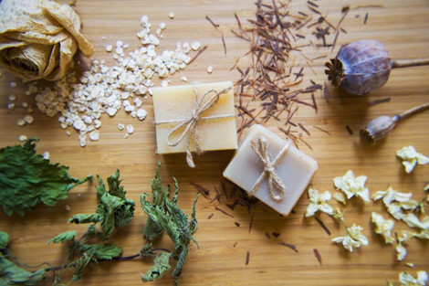 Dye Bark Benefits and Health Usages