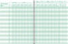 Class Record & Duplicate Plan Book (37-8CD)