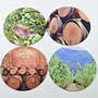 Napa Valley Vineyard Wine Barrel Neoprene Coasters (Set of 4)