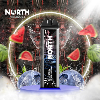North 5000 Disposable -  Blueberry Watermelon