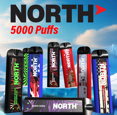 North 5000 Disposable - Frozen Raspberry