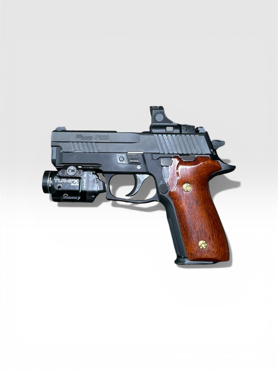 Custom SIG P229 Elite Carry "The professional"