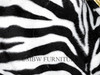 Gold Finish French Zebra Occasional Arm Chair